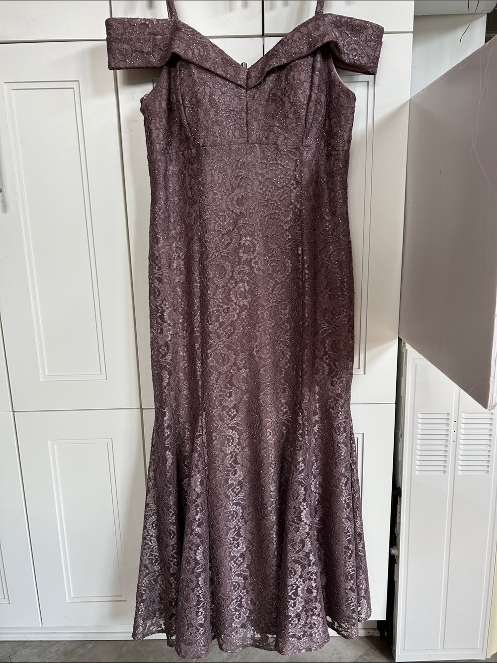 R&M Richards Dusty Mauve Lace Off-Shoulder Maxi Dress